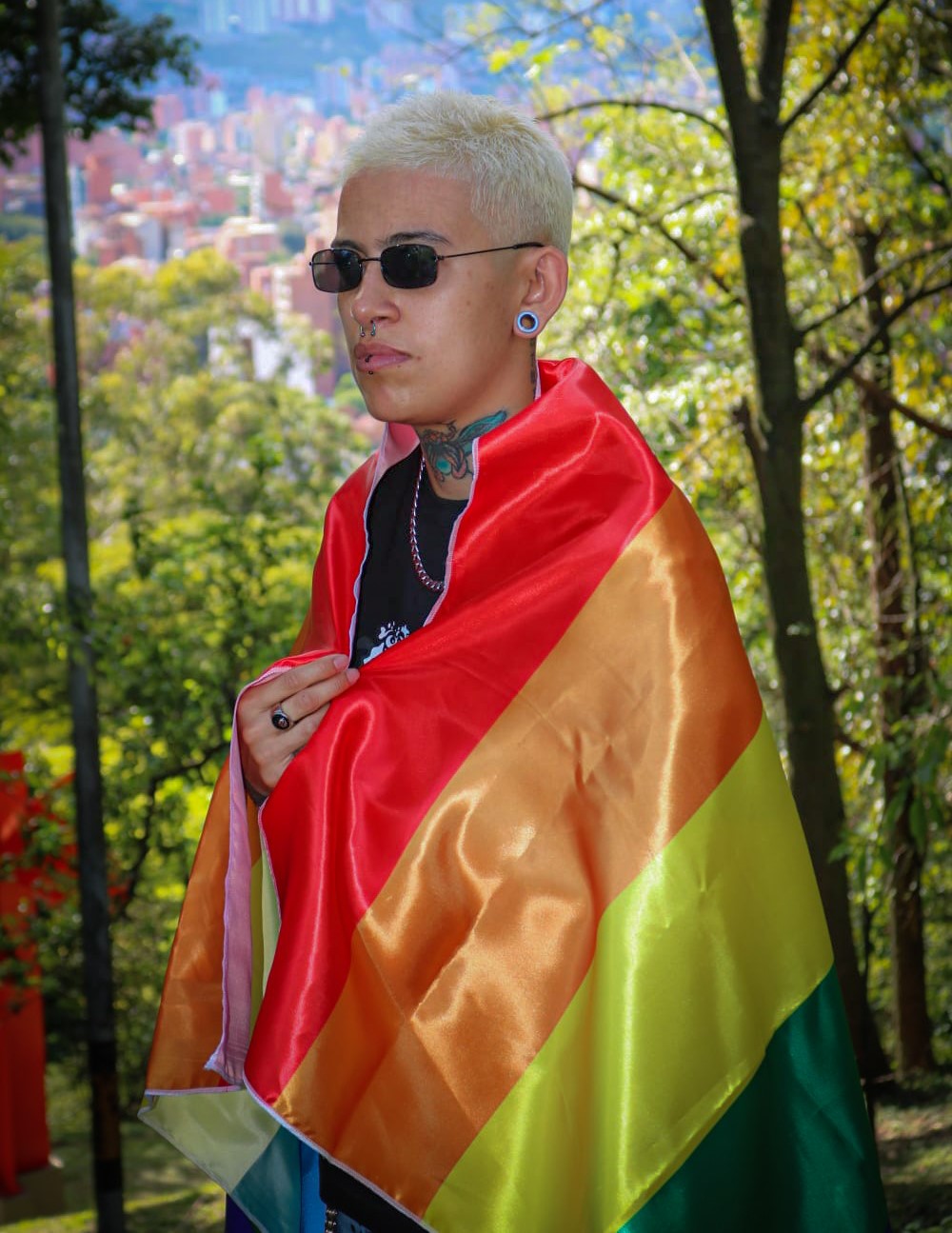 BANDERA GAY, BANDERA LESBIANAS, banderas lesbicas, banderas trans